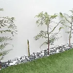 Garden's