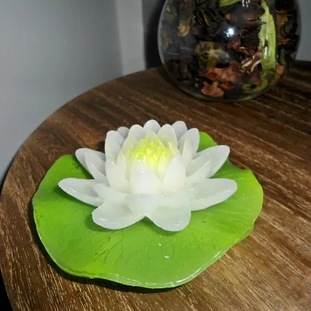 Apartament Garden's Funchal (Madeira)