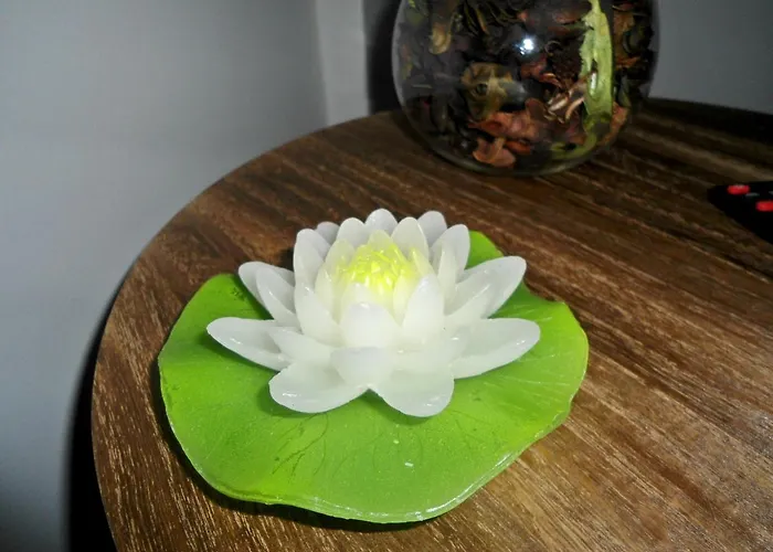 Appartement Garden's Funchal (Madeira)